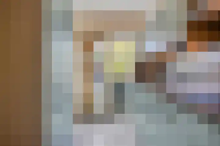 Liniestraat 72 Hulst thumbnail 9