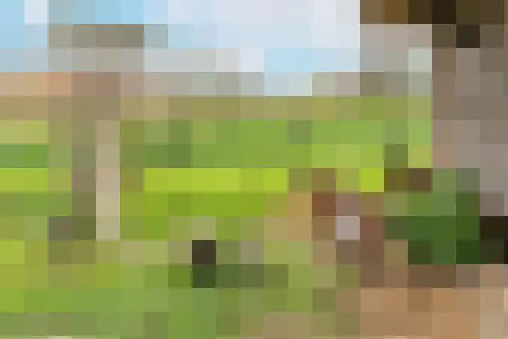 Liniestraat 8 Kesteren thumbnail 33