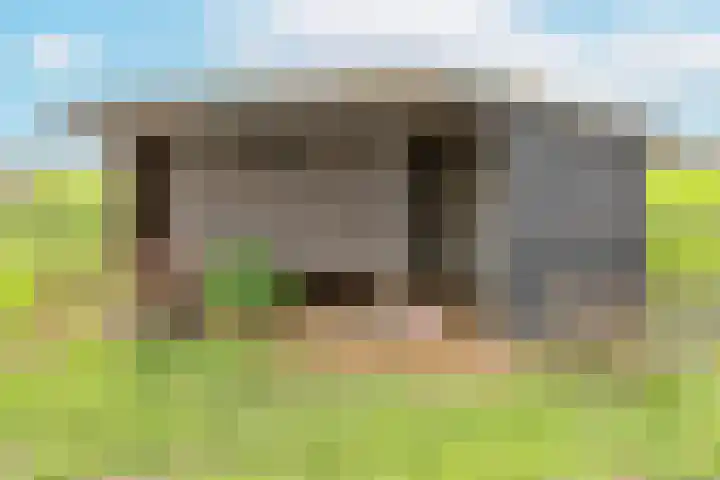 Liniestraat 8 Kesteren thumbnail 35