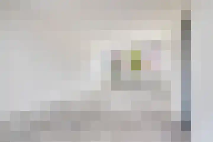 Liniestraat 95 Hulst thumbnail 11