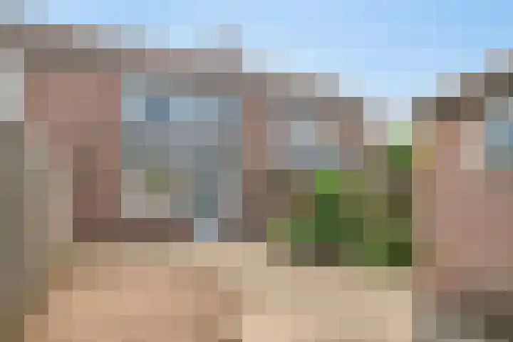 Liniestraat 95 Hulst thumbnail 27