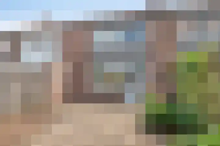 Liniestraat 95 Hulst thumbnail 28