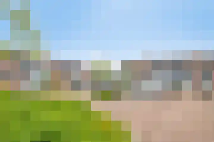 Liniestraat 95 Hulst thumbnail 29
