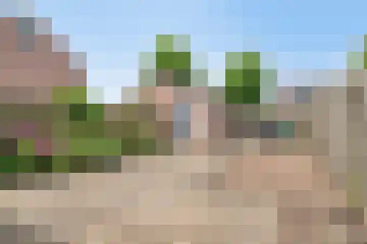 Liniestraat 95 Hulst thumbnail 4