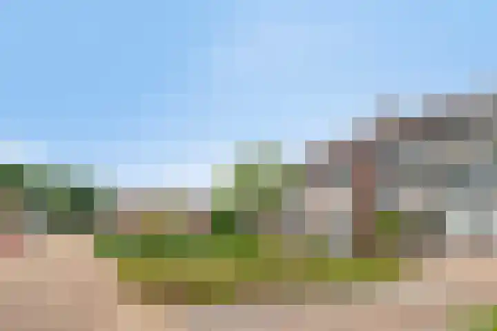 Liniestraat 95 Hulst thumbnail 5