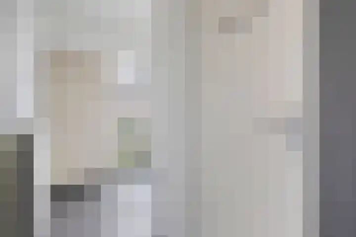 Liniestraat 95 Hulst thumbnail 6