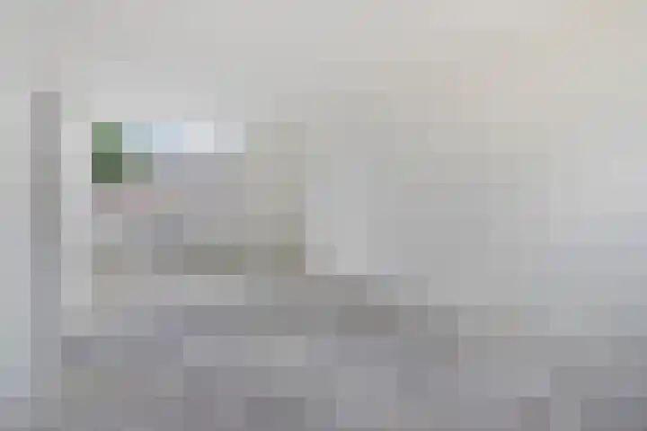 Liniestraat 95 Hulst thumbnail 8