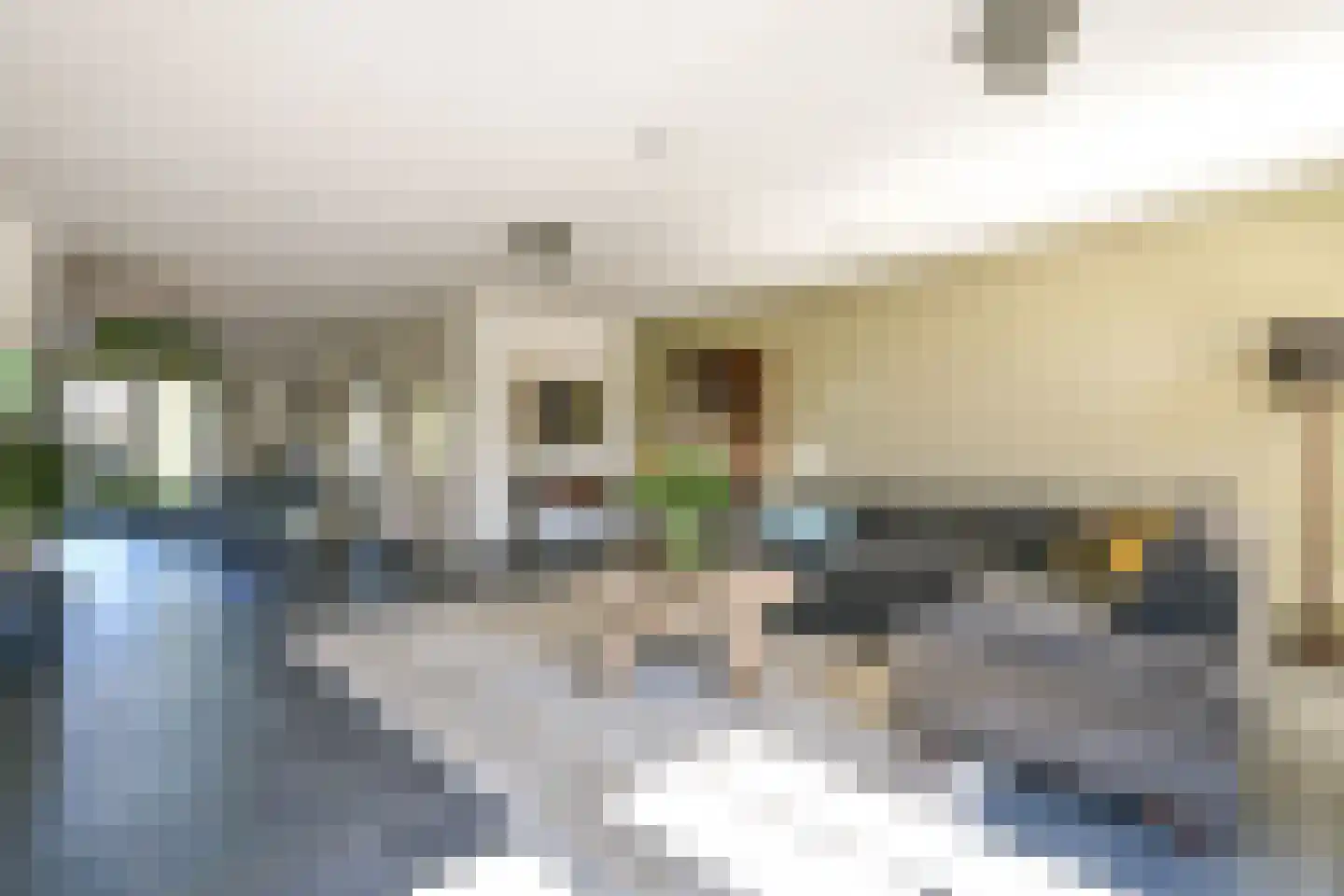 Liniewal 82 Vijfhuizen thumbnail 16
