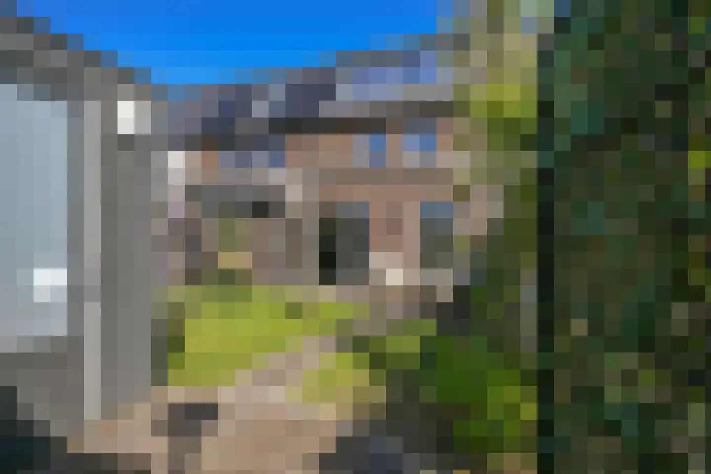 Liniewal 82 Vijfhuizen thumbnail 21