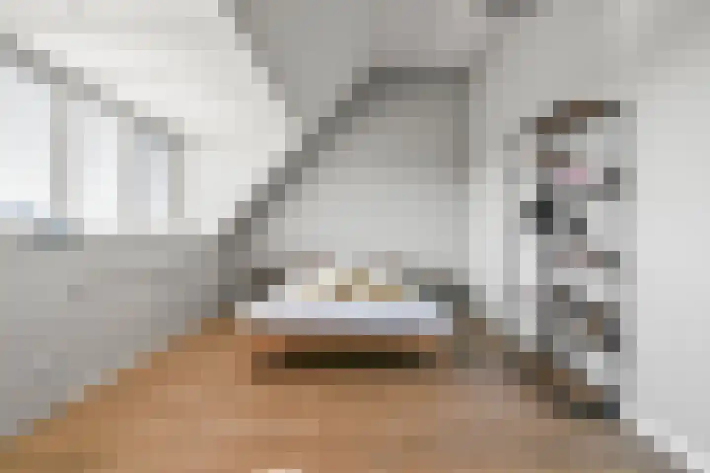 Liniewal 82 Vijfhuizen thumbnail 32