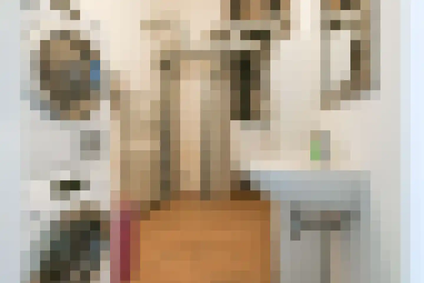 Liniewal 82 Vijfhuizen thumbnail 36