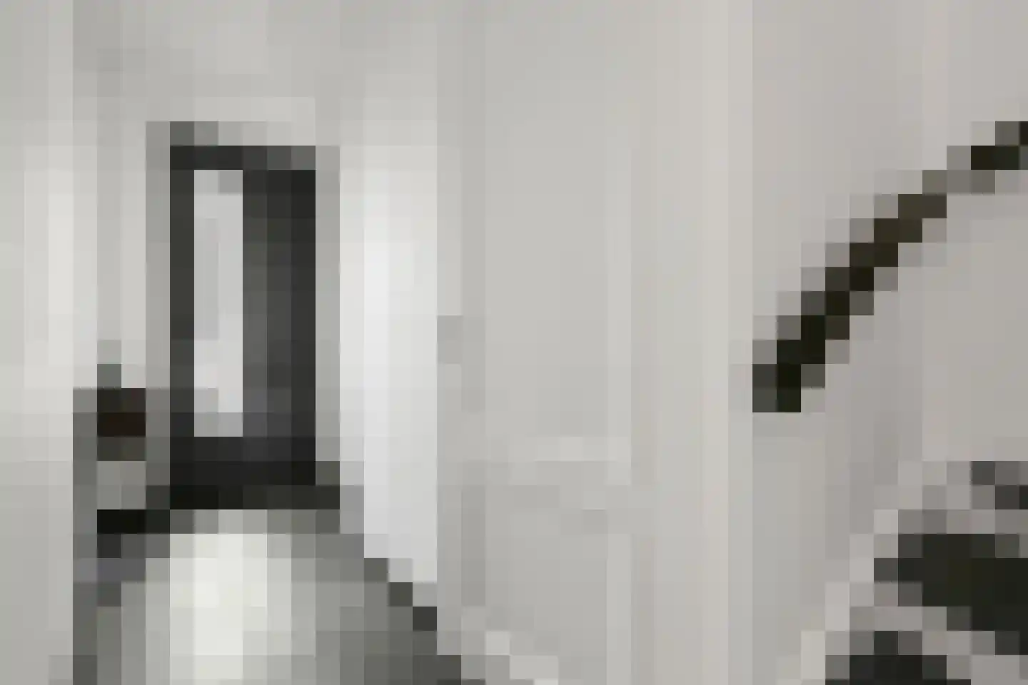 Liniewal 82 Vijfhuizen thumbnail 6