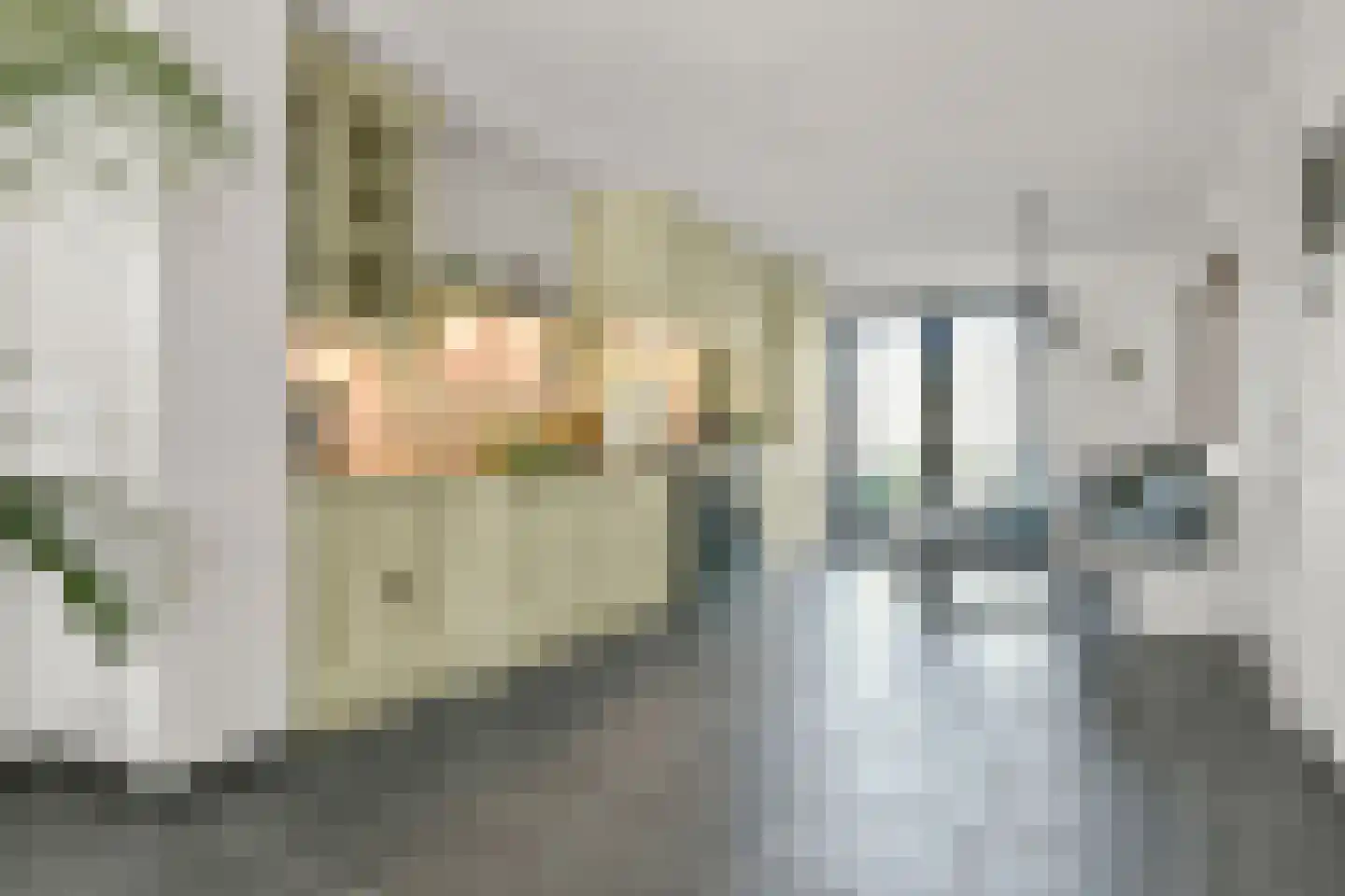 Liniewal 82 Vijfhuizen thumbnail 9