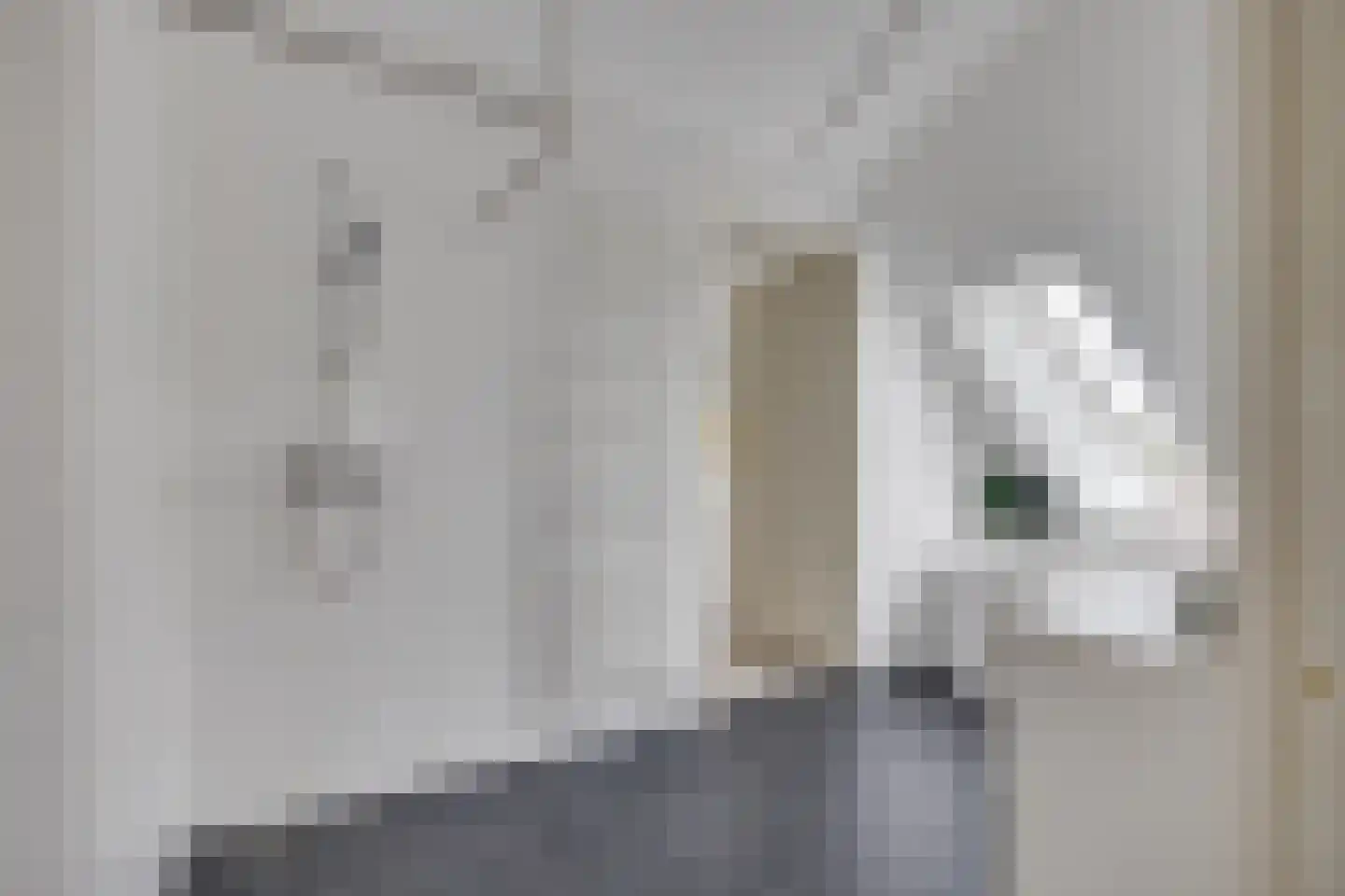 Linieweg 19 Leusden thumbnail 13