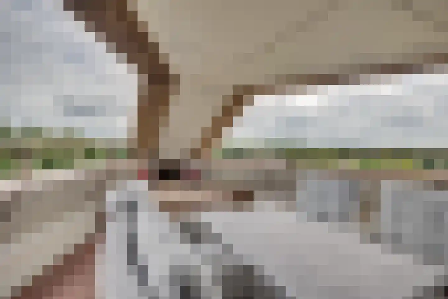 Linieweg 19 Leusden thumbnail 25
