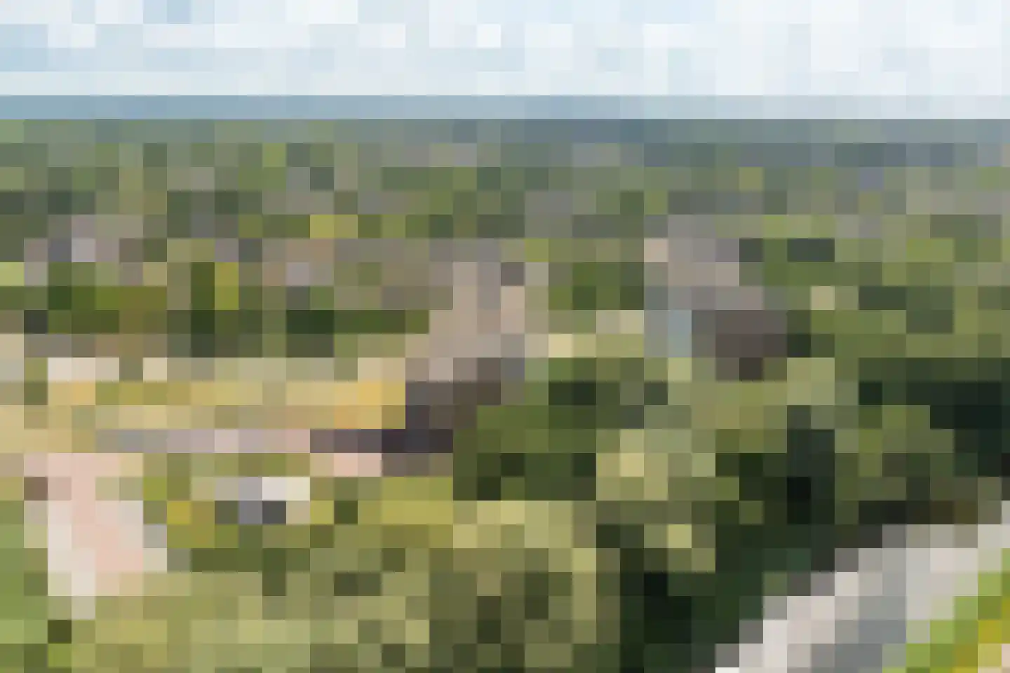 Linieweg 19 Leusden thumbnail 29