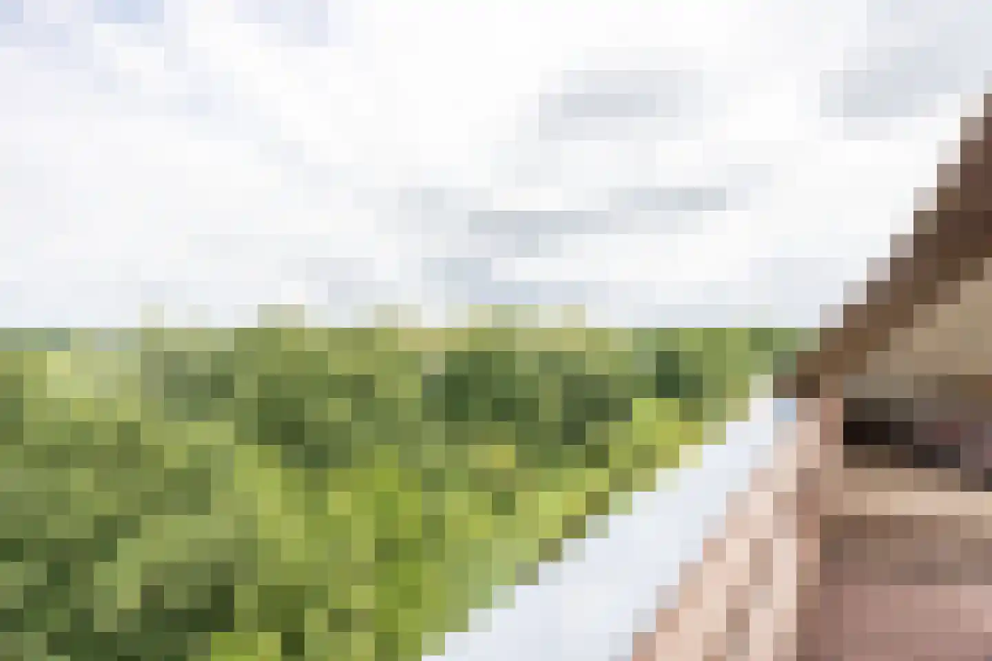 Linieweg 19 Leusden thumbnail 30