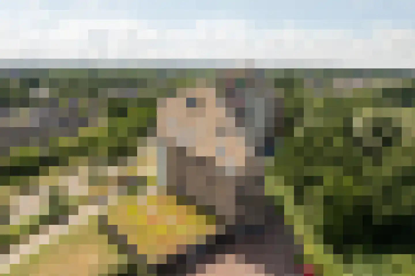 Linieweg 19 Leusden thumbnail 31