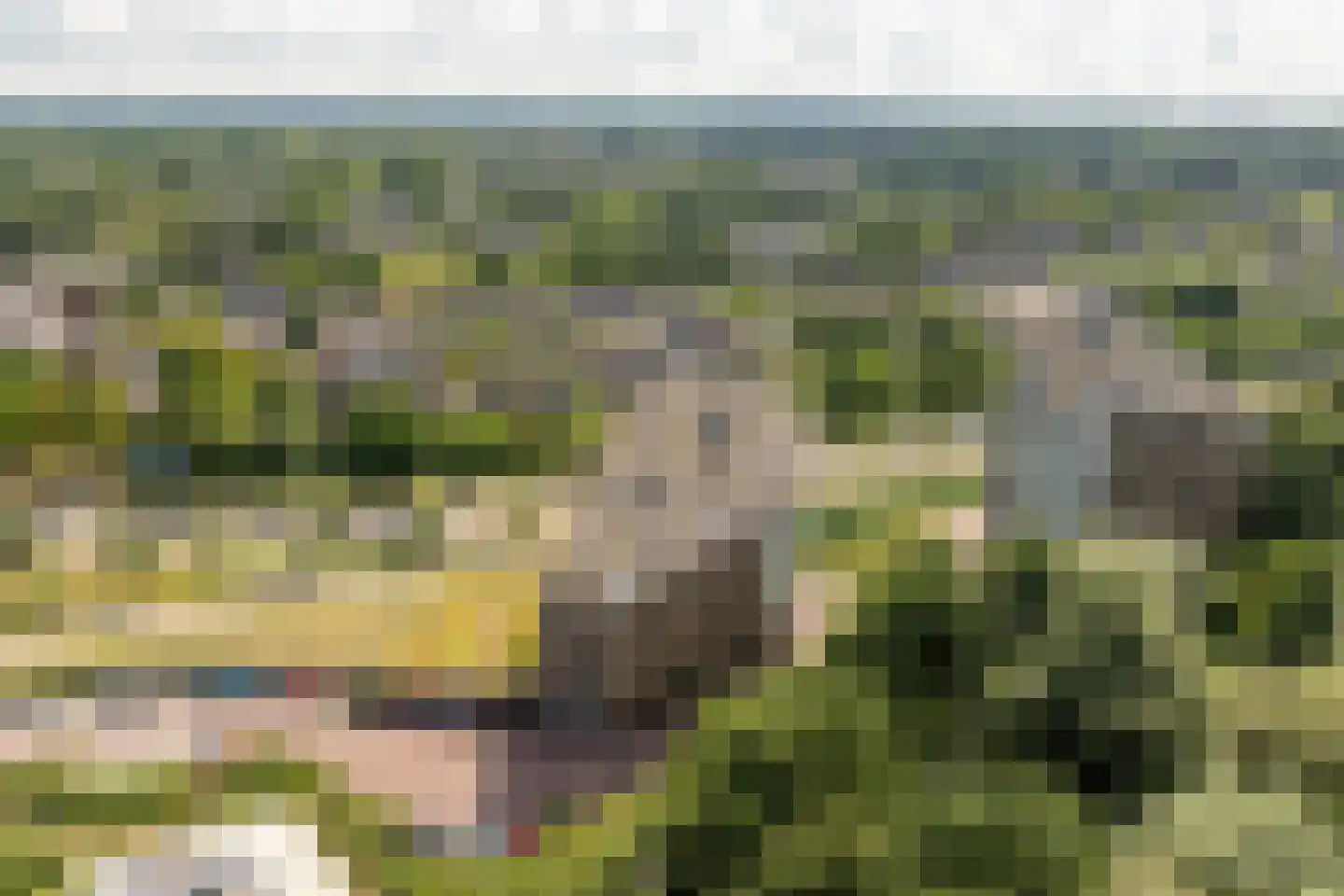 Linieweg 19 Leusden thumbnail 32