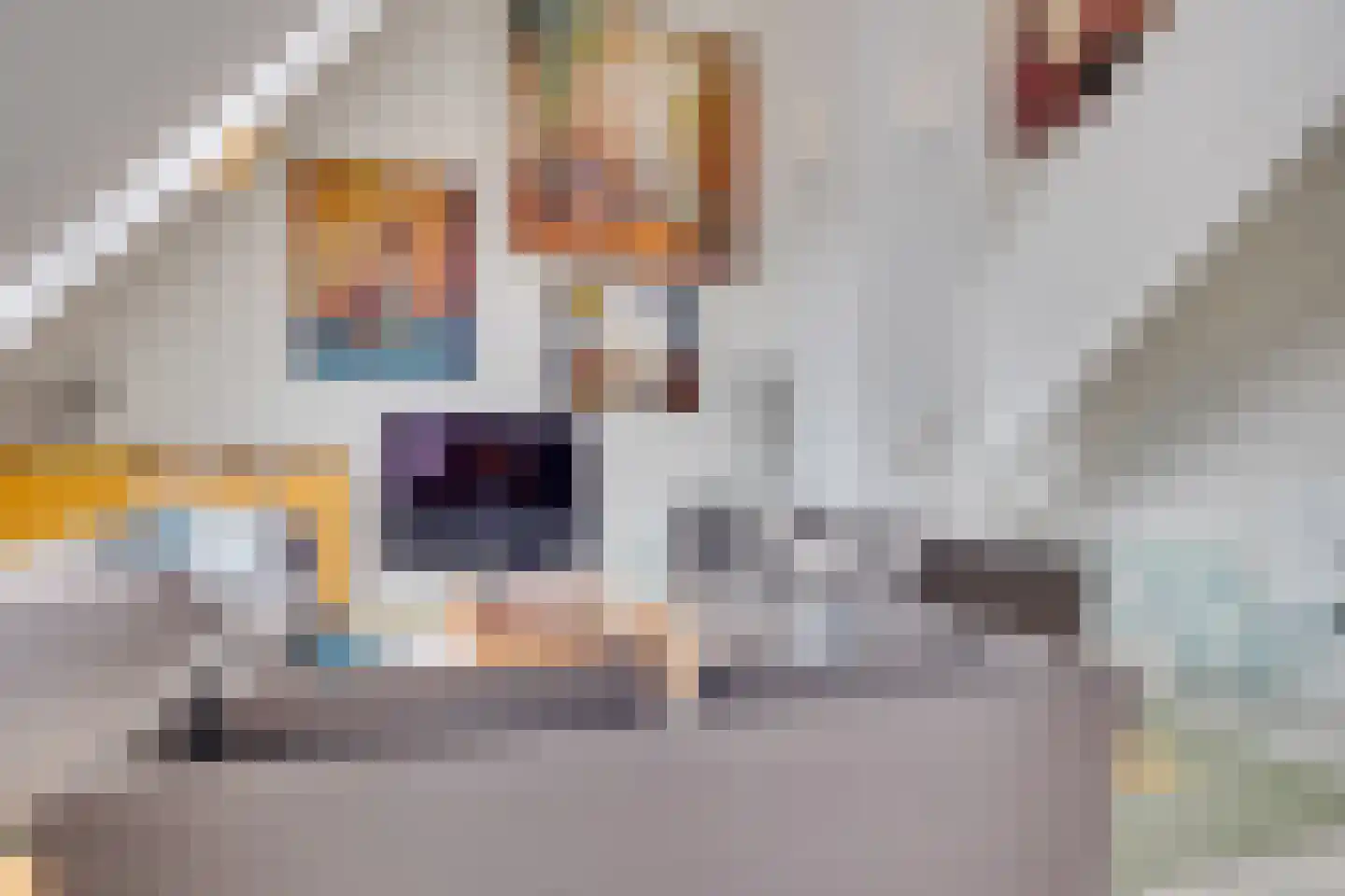 Linieweg 19 Leusden thumbnail 6
