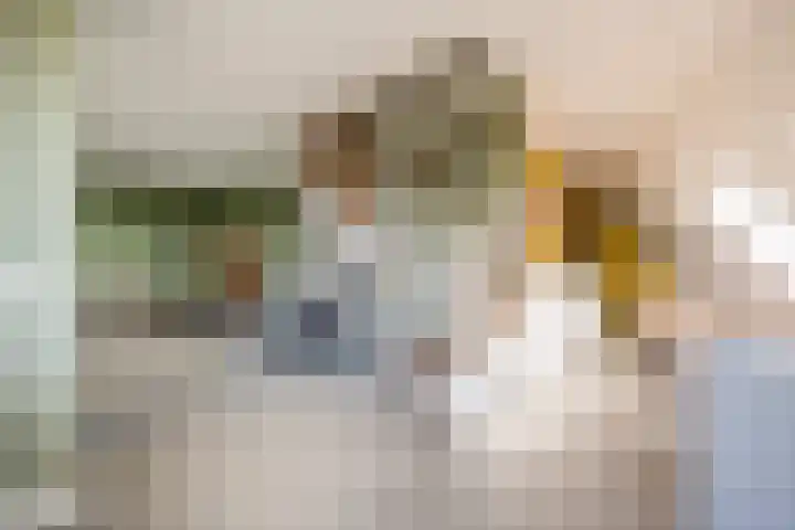 Linieweg 21 Leusden thumbnail 14