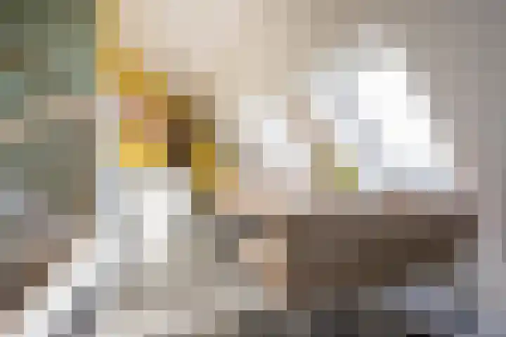 Linieweg 21 Leusden thumbnail 15