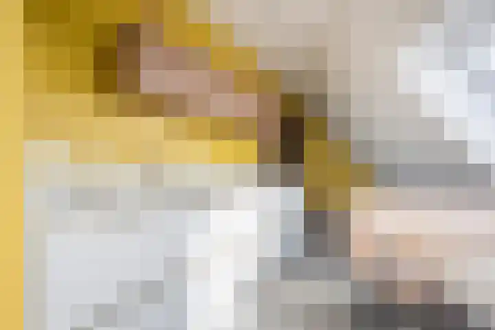 Linieweg 21 Leusden thumbnail 16