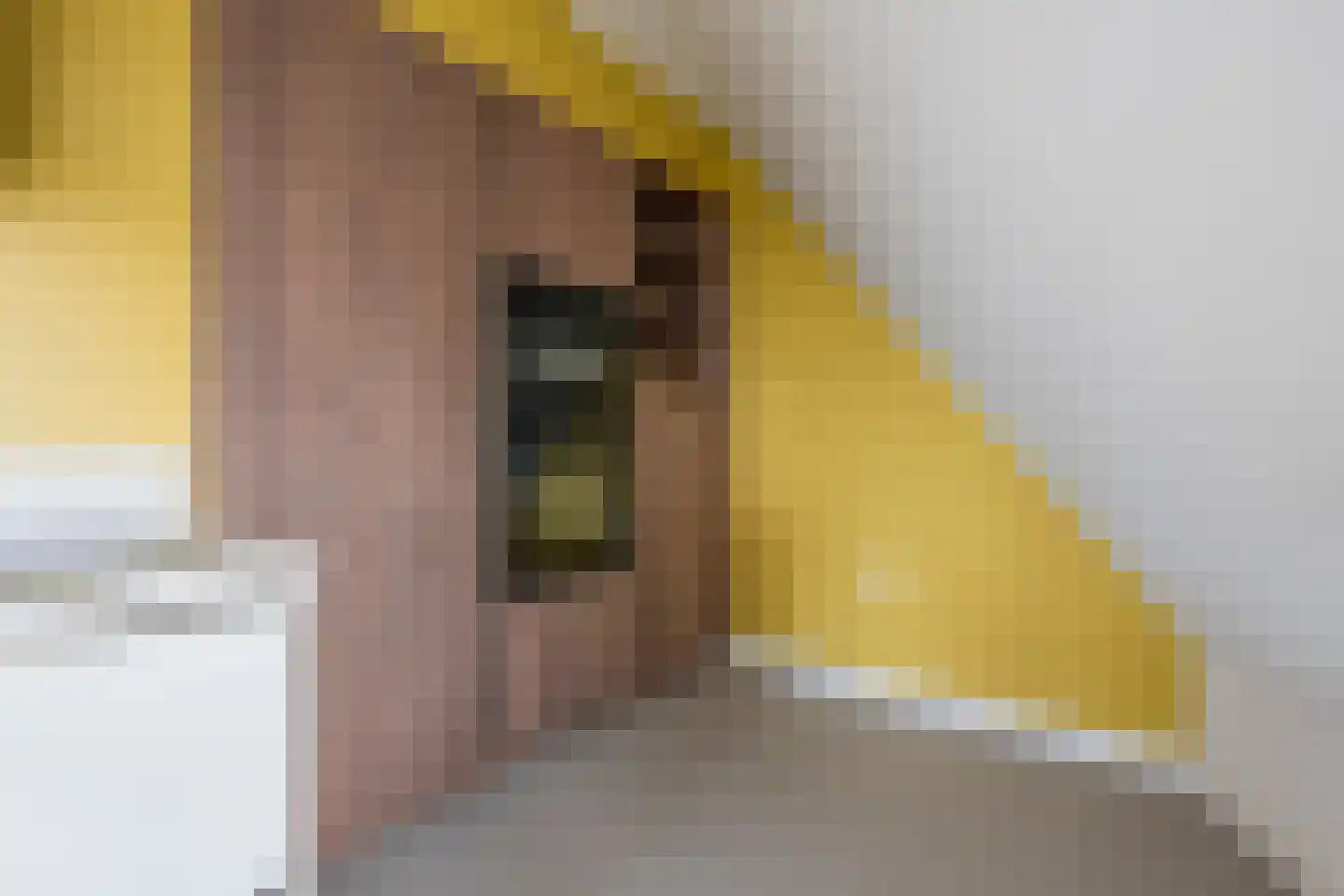 Linieweg 21 Leusden thumbnail 17