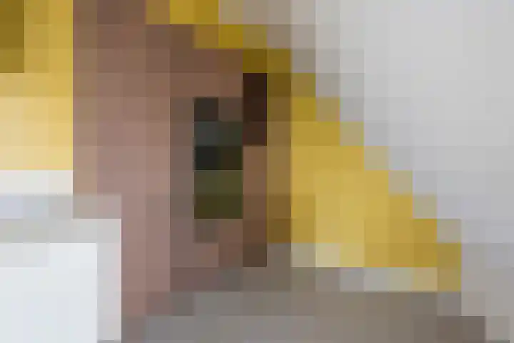 Linieweg 21 Leusden thumbnail 17
