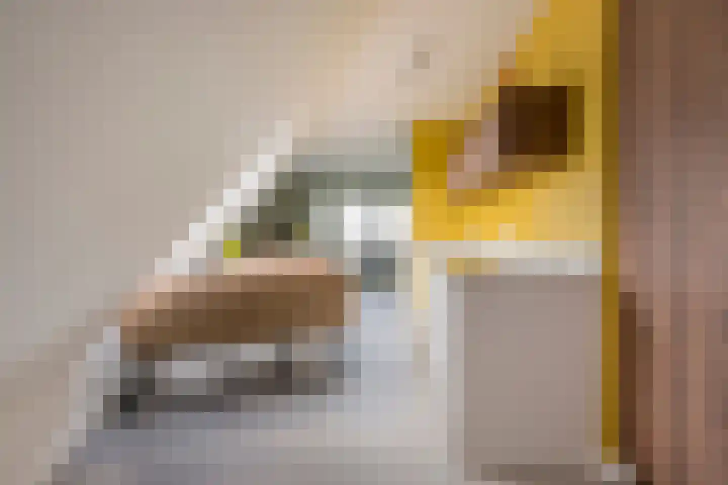 Linieweg 21 Leusden thumbnail 18