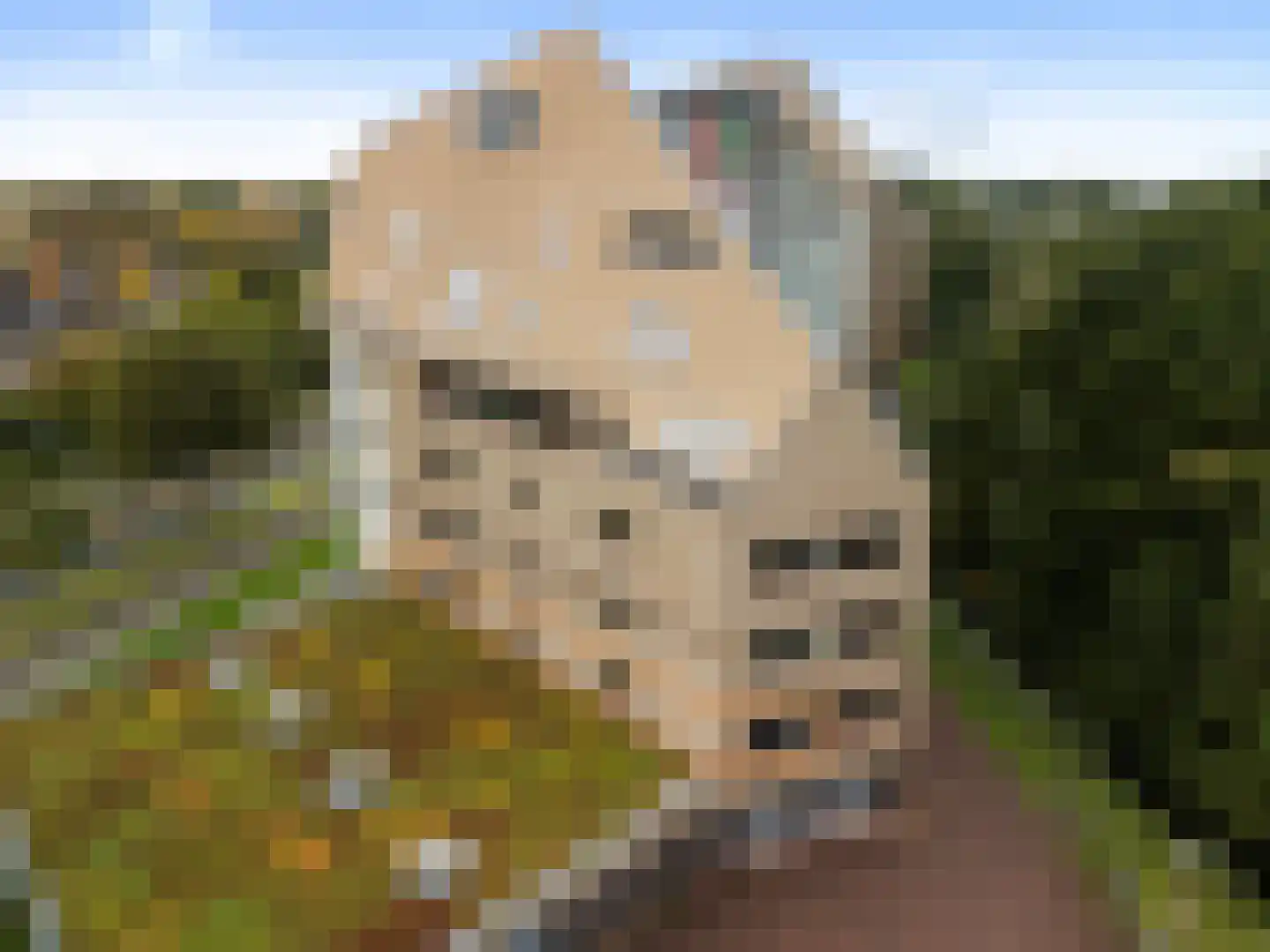 Linieweg 5 Leusden thumbnail 22