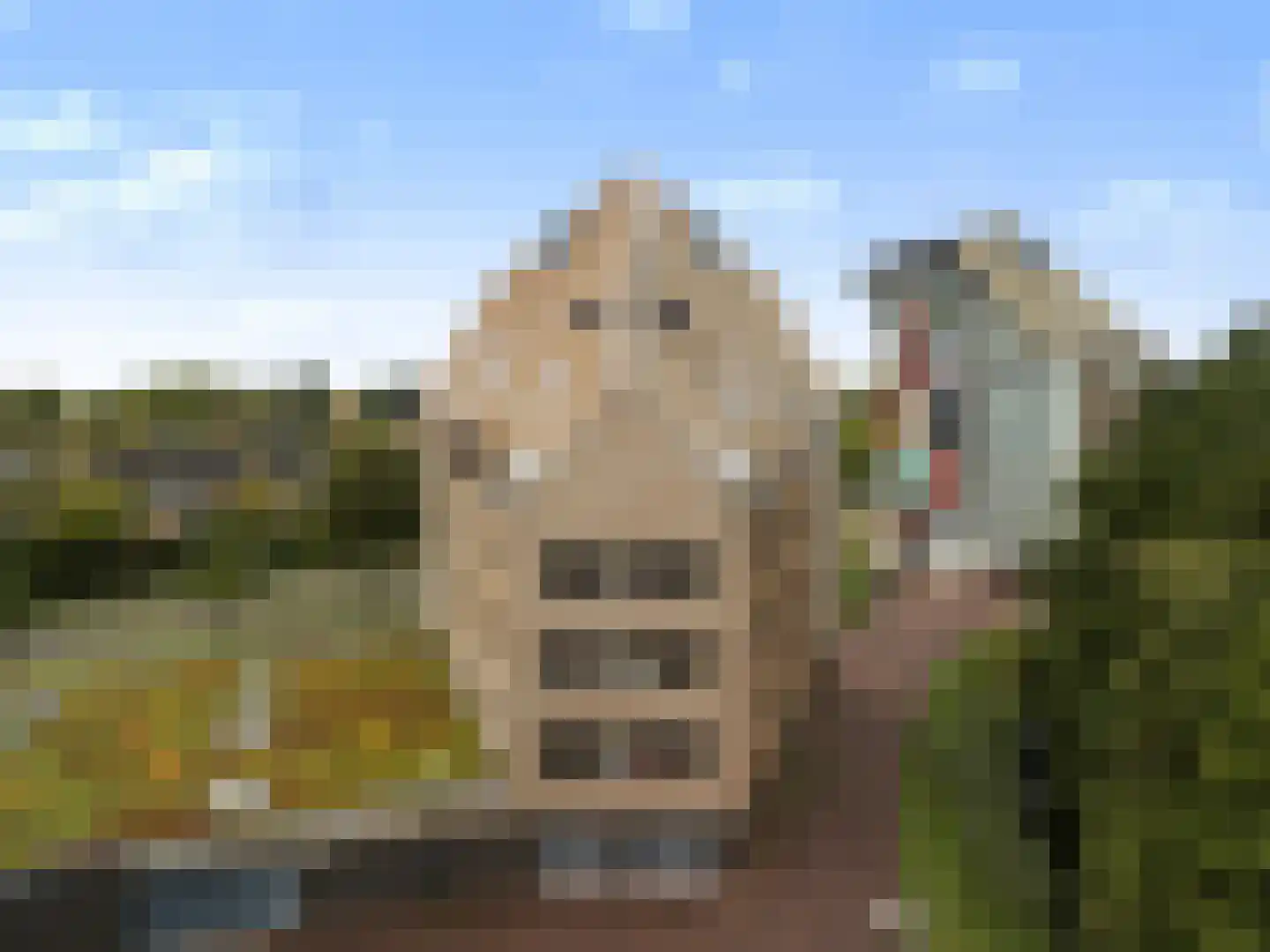 Linieweg 5 Leusden thumbnail 23