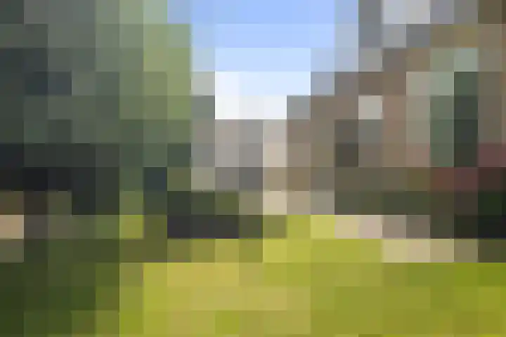 Linieweg 7 Den Helder thumbnail 10