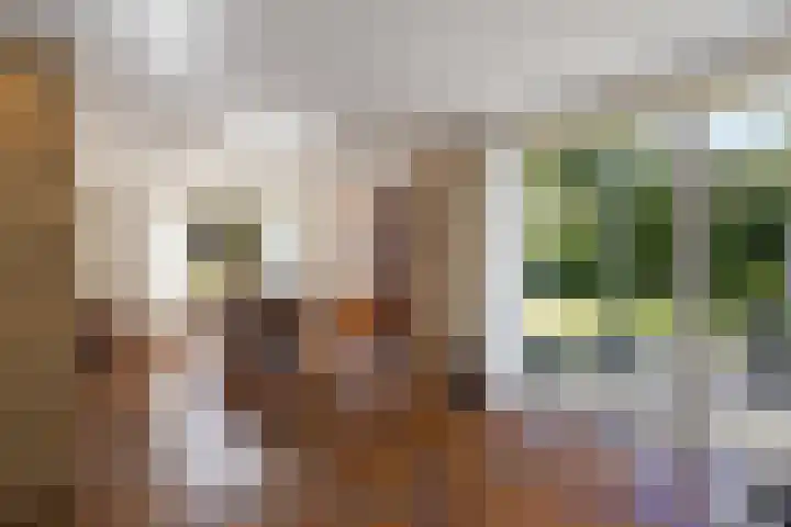 Linieweg 7 Den Helder thumbnail 18