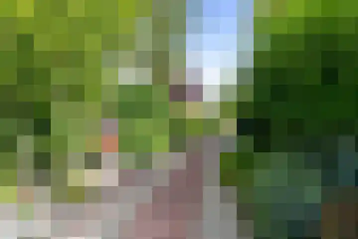 Linieweg 7 Den Helder thumbnail 5