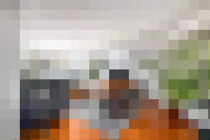Linieweg 7 Den Helder thumbnail 6