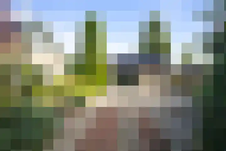 Linieweg 7 Den Helder thumbnail 6
