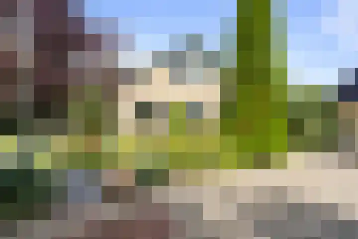 Linieweg 7 Den Helder thumbnail 7