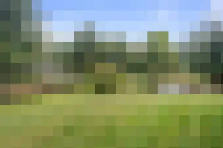 Linieweg 7 Den Helder thumbnail 9