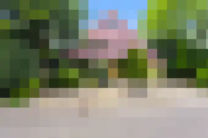 Linieweg 8 Den Helder foto 2