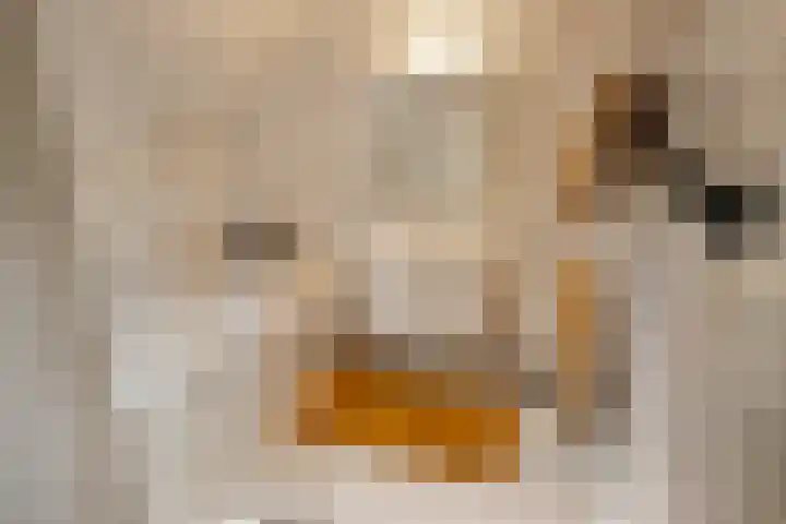 Linieweg 8 Den Helder thumbnail 36