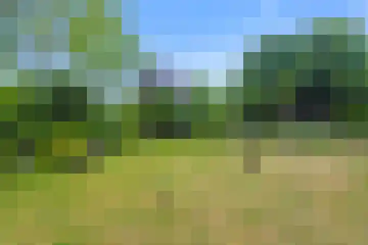 Linieweg 8 Den Helder thumbnail 4