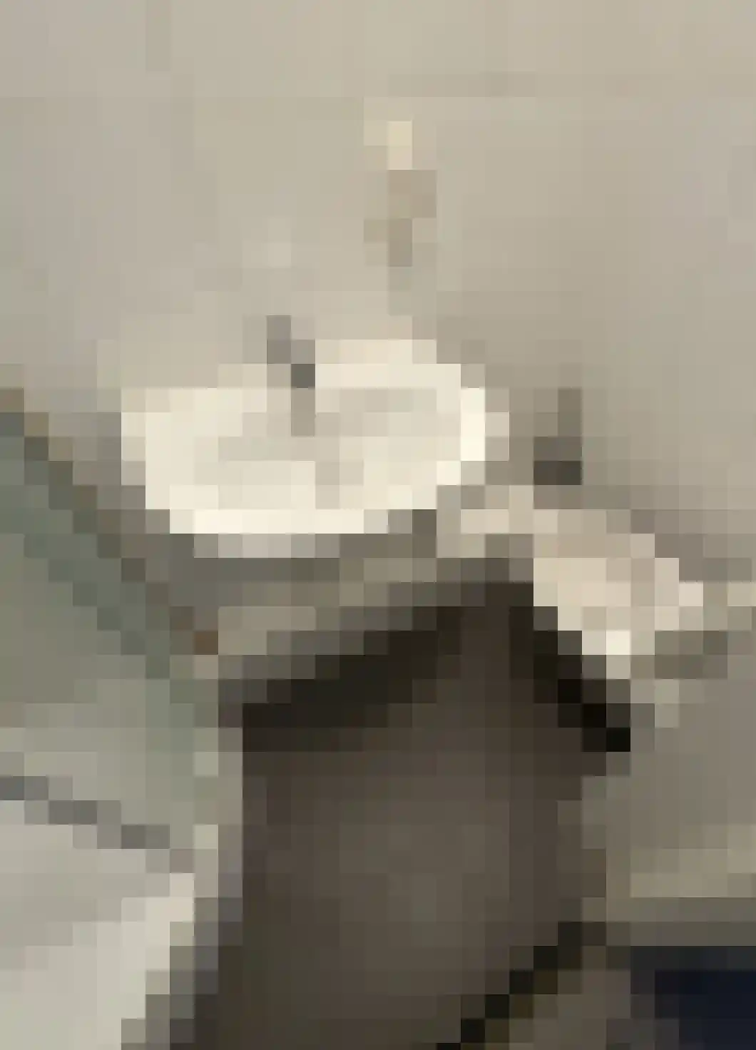Linkensweg 17 Oss thumbnail 6