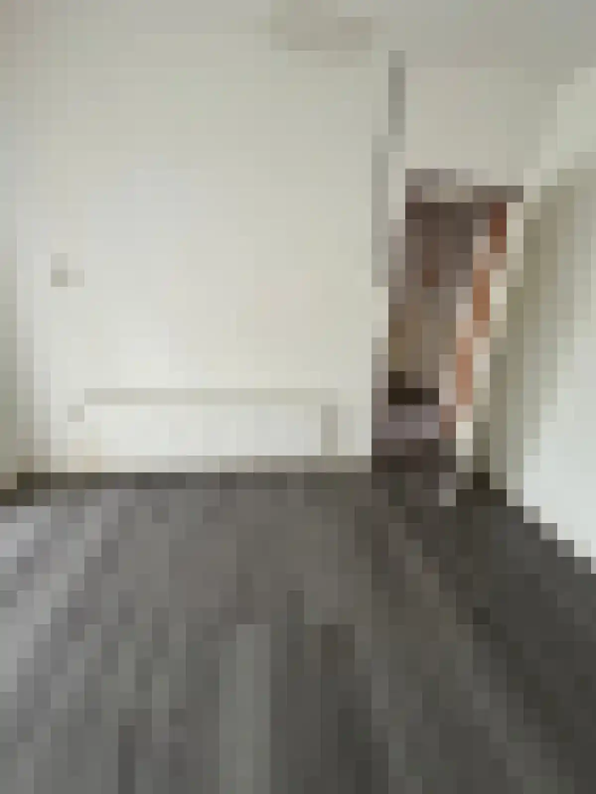 Linkensweg 19 Oss thumbnail 5