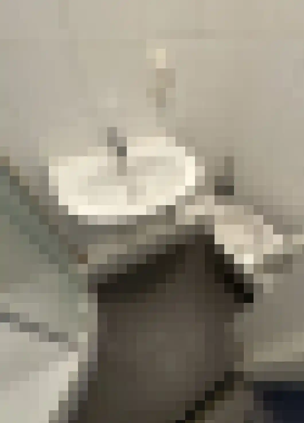 Linkensweg 19 Oss thumbnail 6