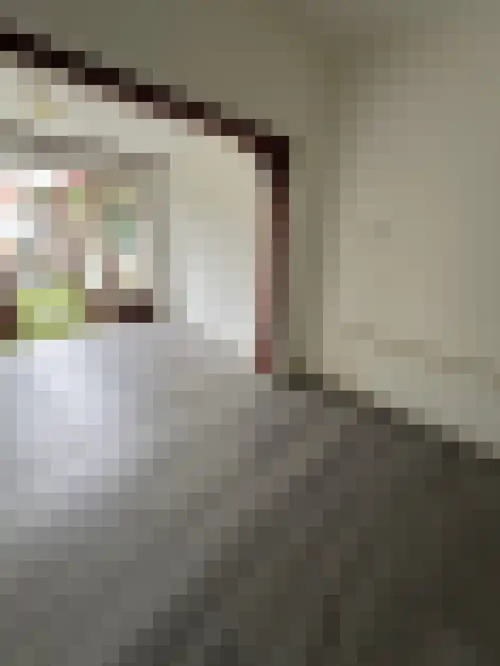Linkensweg 19 Oss thumbnail 7