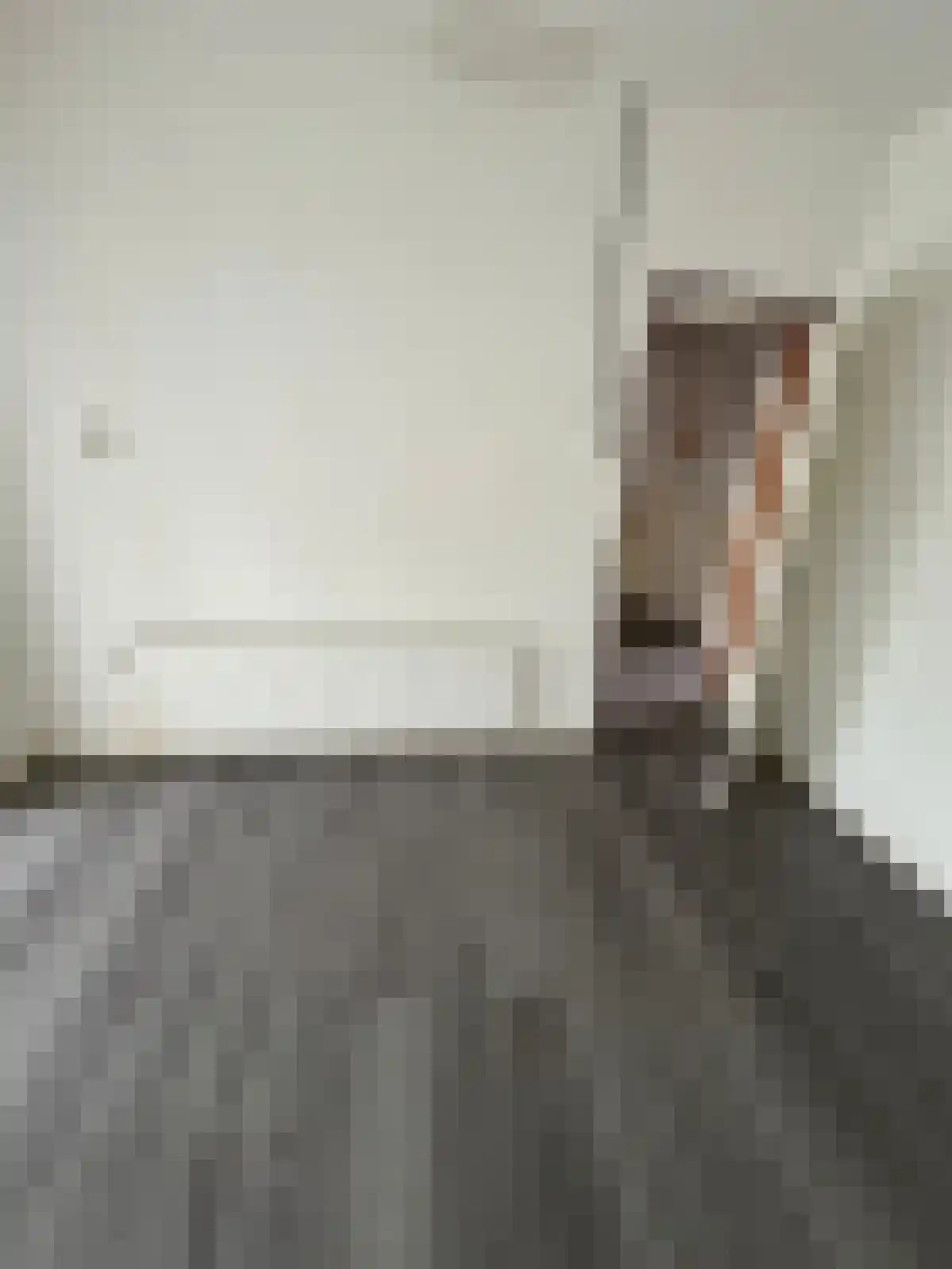 Linkensweg 21 Oss thumbnail 5