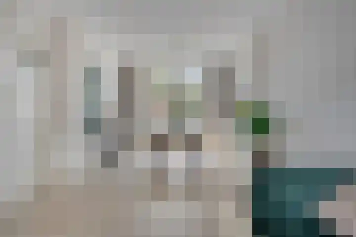 Linkensweg 34 Oss thumbnail 12