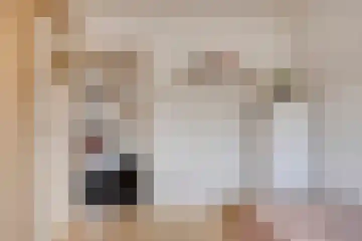 Linkensweg 34 Oss thumbnail 29