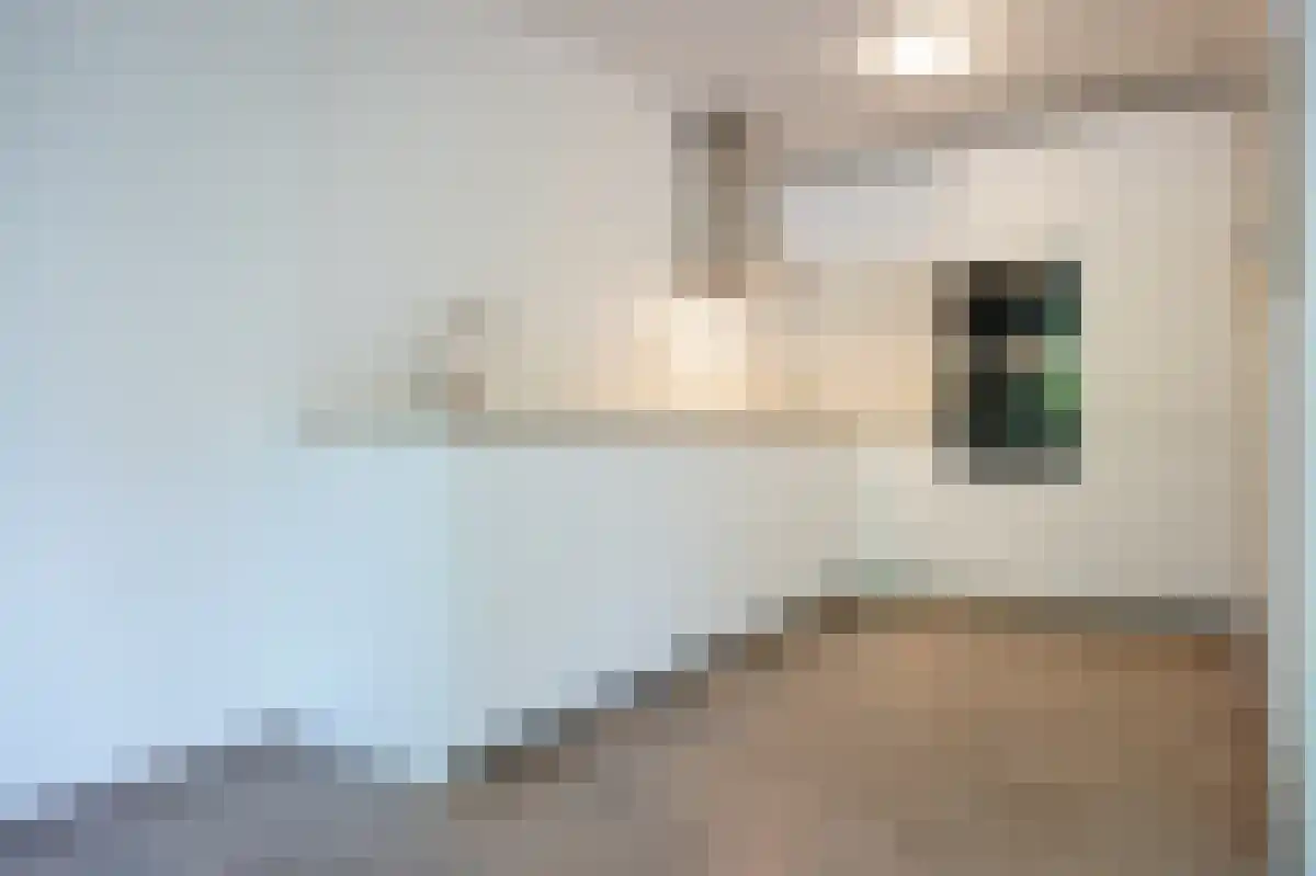 Linker Rottekade 124 Rotterdam thumbnail 5